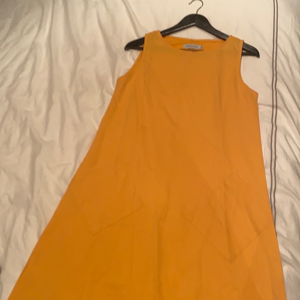 Dress NWOT
